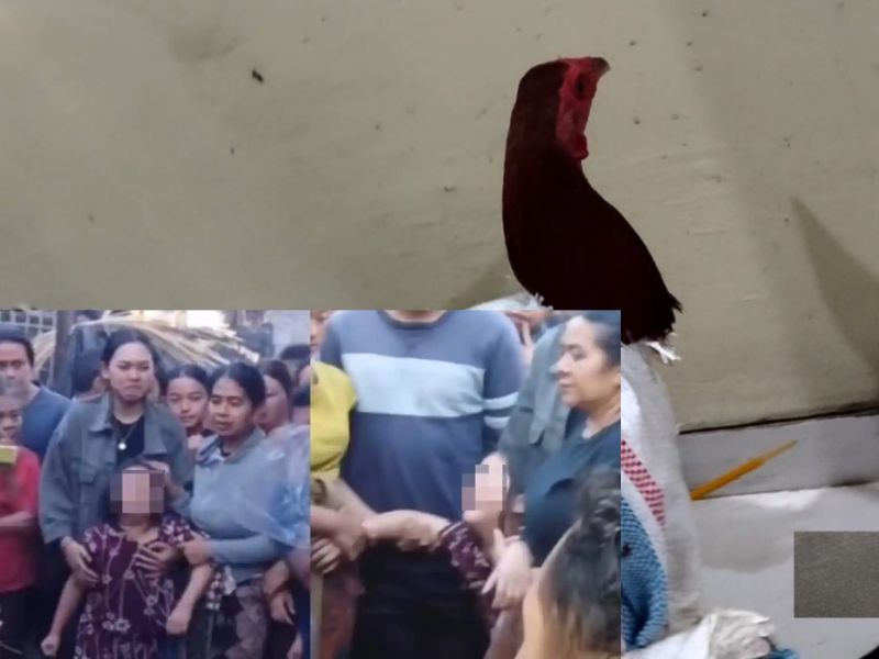 Tragedi Maling Ayam di Tabanan Bali: Amuk Massa, Nyawa Melayang, dan Tangis Pilu Gadis Kecil